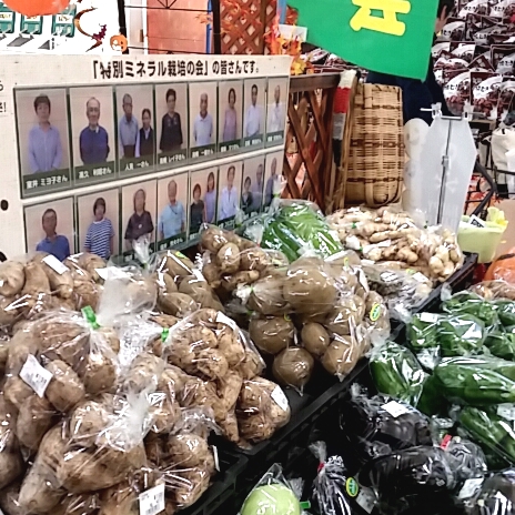 ヨークベニマル地場野菜コーナー