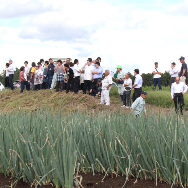 栃木県内のとヨークベニマル地場野菜コーナー担当者の合同検討会